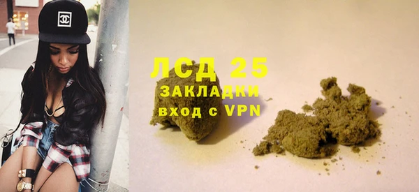спиды Зеленокумск