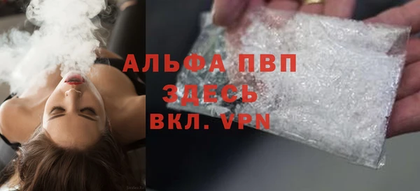 спиды Зеленокумск