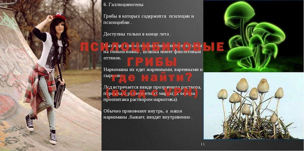 спиды Зеленокумск
