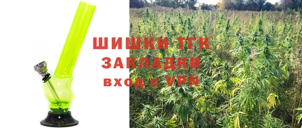 спиды Зеленокумск