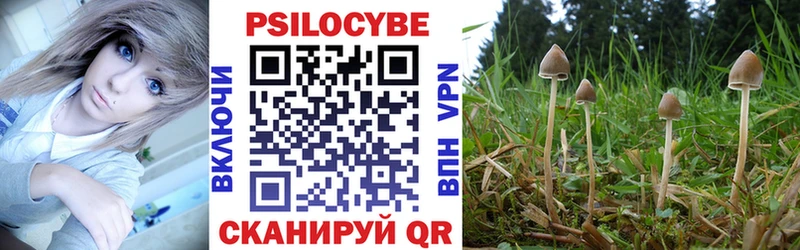 Купить закладки  Геленджик  Псилоцибиновые грибы MAGIC MUSHROOMS 