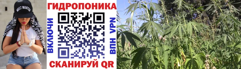 Купить  Геленджик  Бошки марихуана THC 21% 